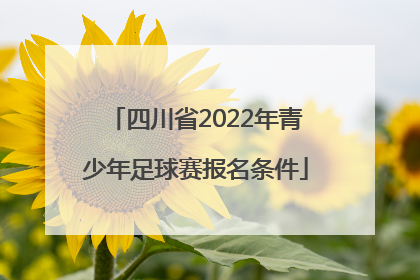 四川省2022年青少年足球赛报名条件
