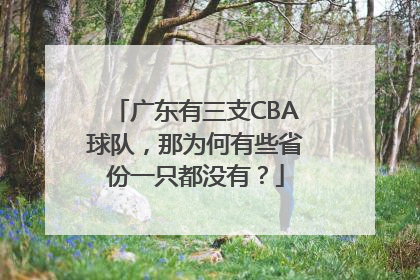 广东有三支CBA球队，那为何有些省份一只都没有？